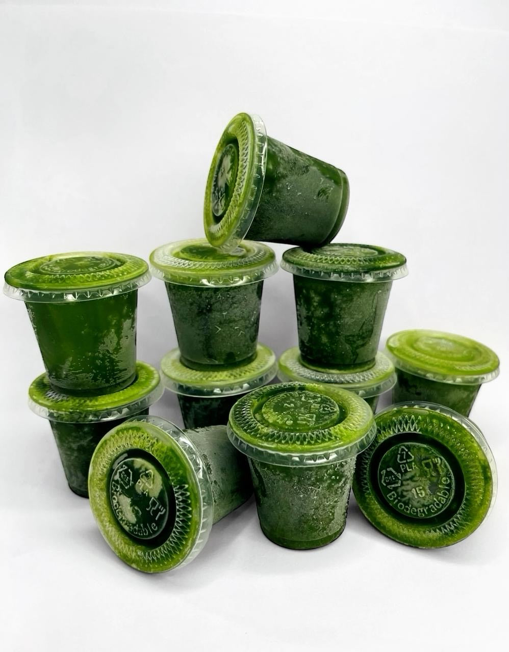SHOT DE CLOROFILA VIDA VERDE